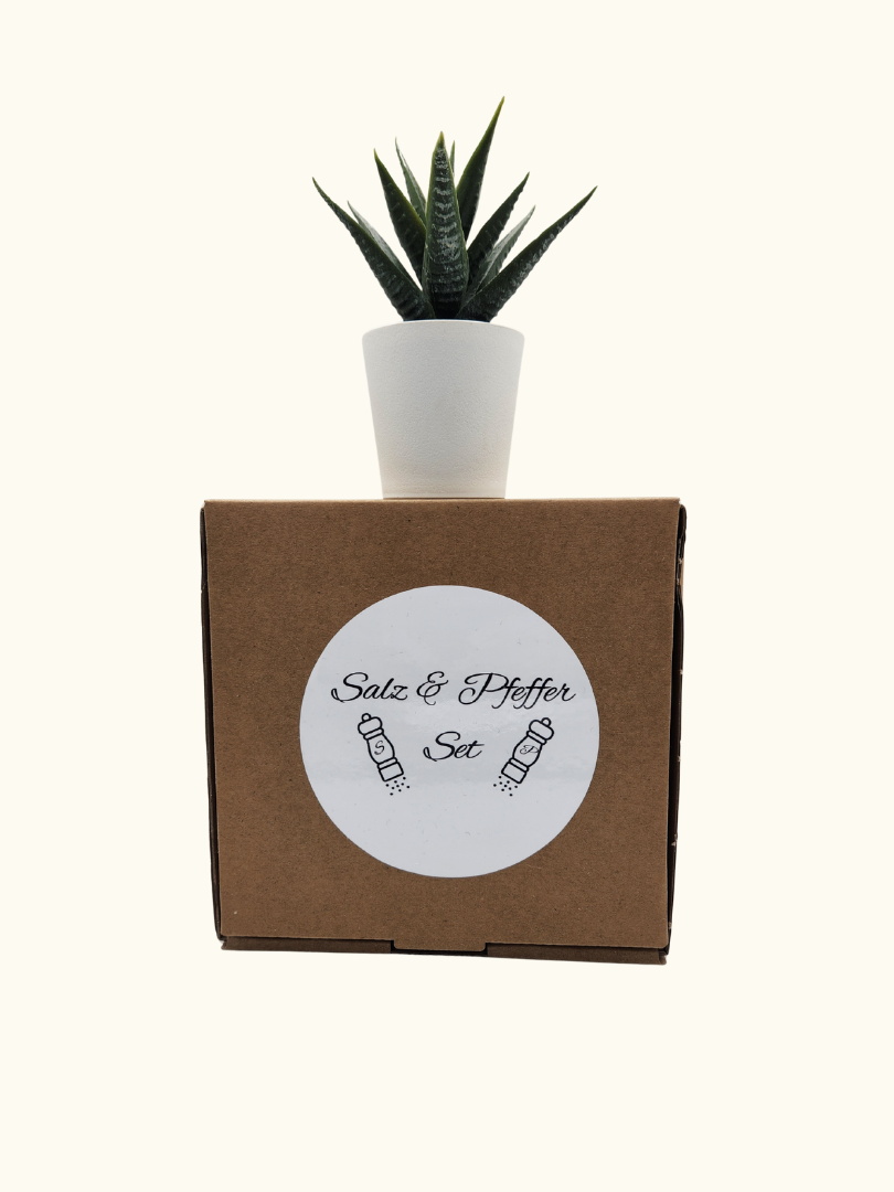 Salz- & Pfeffermühle "Duo" - in einer Geschenkbox