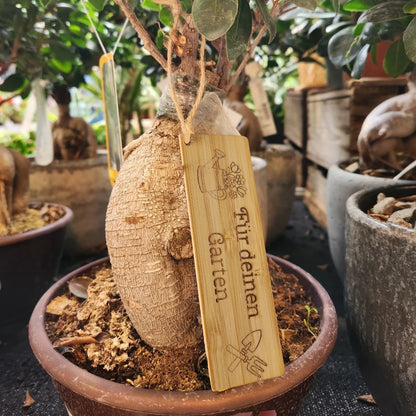 Ein Geschenkanhänger aus Bambus mit der Gravur "Für deinen Garten" mit einer Gießkanne und Schaufel an einer Pflanze mit einer Juteschnur befestigt